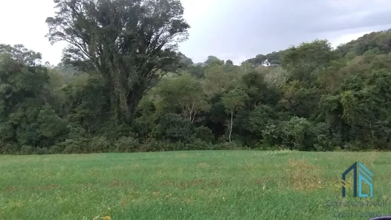 Imagem Sitio a venda, 375,100 mil m² (15.5 alqueires), aproximado 7 alqueires de plantio restante reserva e pasto, em Condói PR