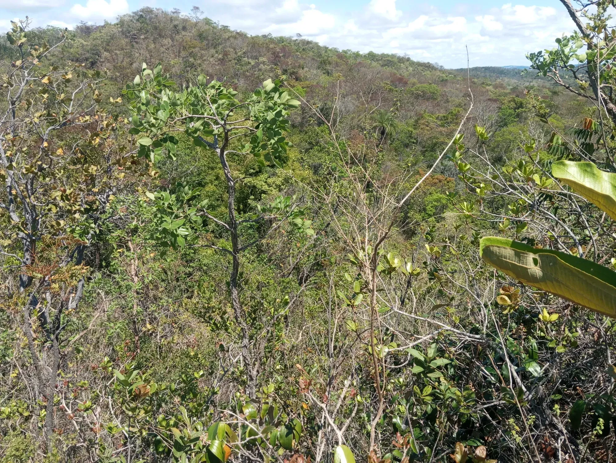 Imagem Chácara com 2 Quartos à Venda, 34.000 m² em Ravena - Sabará