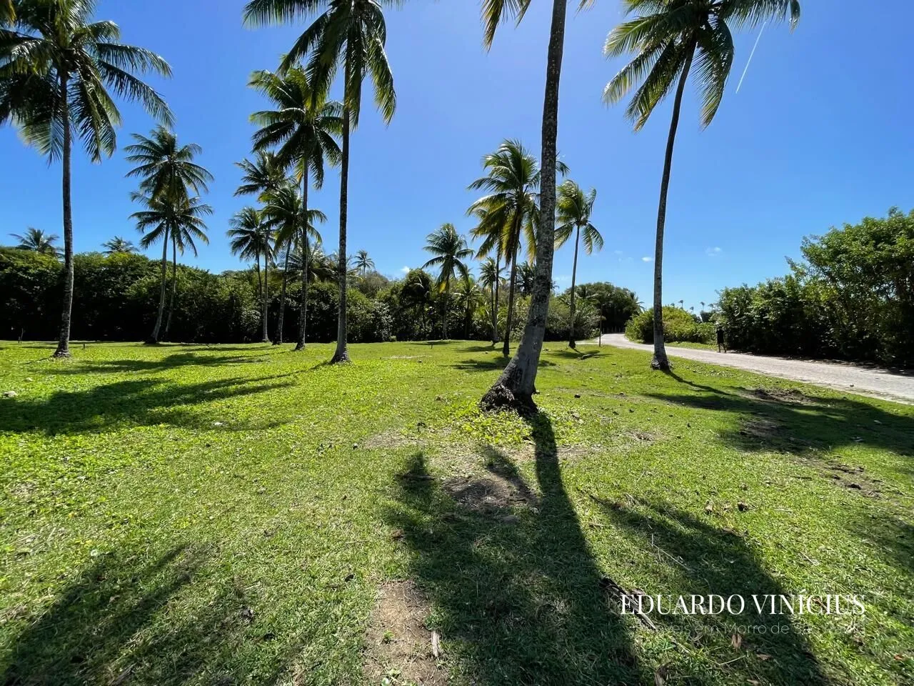 Imagem Sítio dos Coqueiros - Terreno 1.000 m² à Venda na Terceira Praia do Morro de São Paulo
