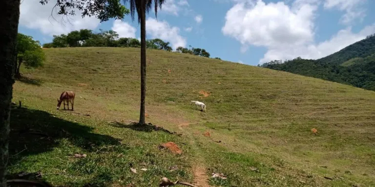 Imagem Chácara com 8 Quartos à Venda, 16.940 m² em Centro - Santa Isabel