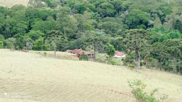 Imagem Sítio Joanópolis 11 alqueires pasto riacho escritura!!