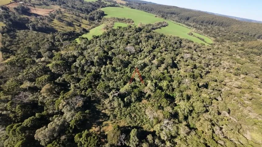 Imagem Sítio à venda com excelentes 24,62ha de área em Guarpuava PR