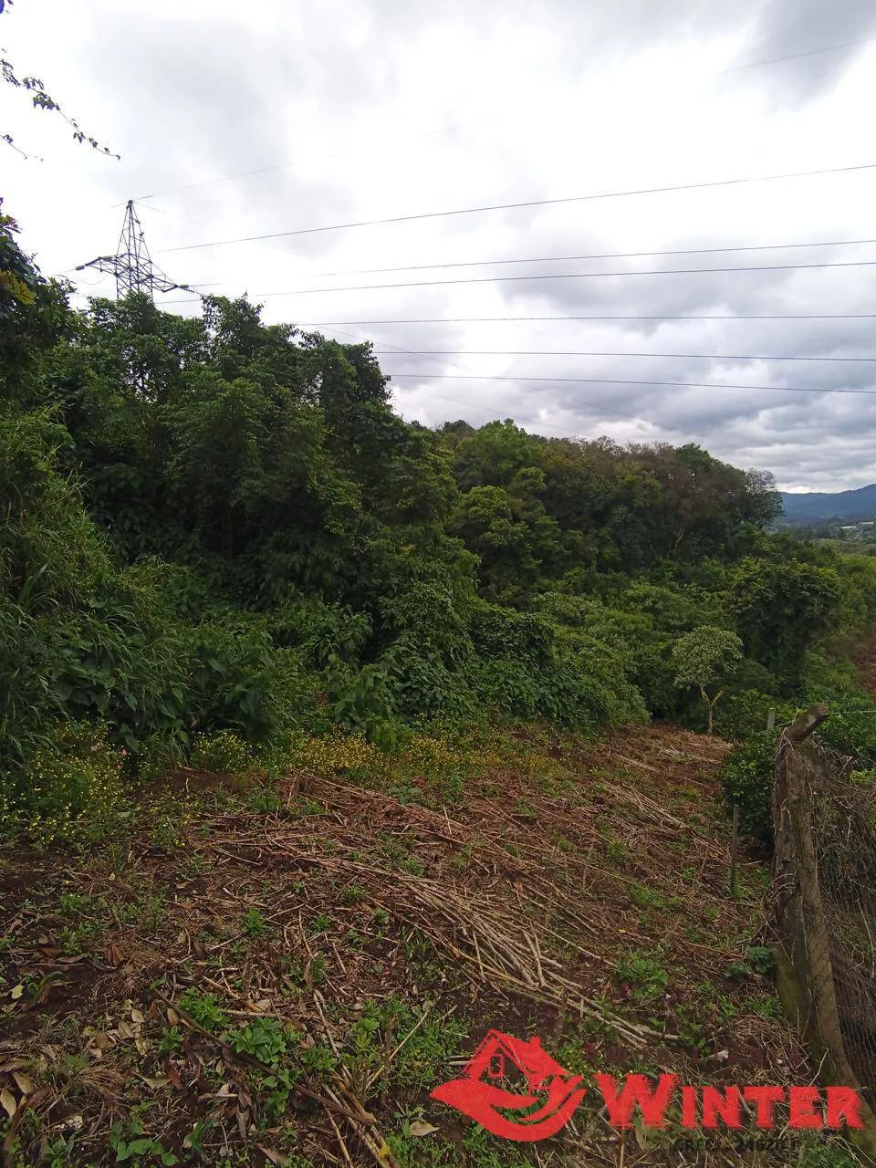 Imagem Terreno de 1046,93m² próximo a PlastiWeber Centro de Feliz.