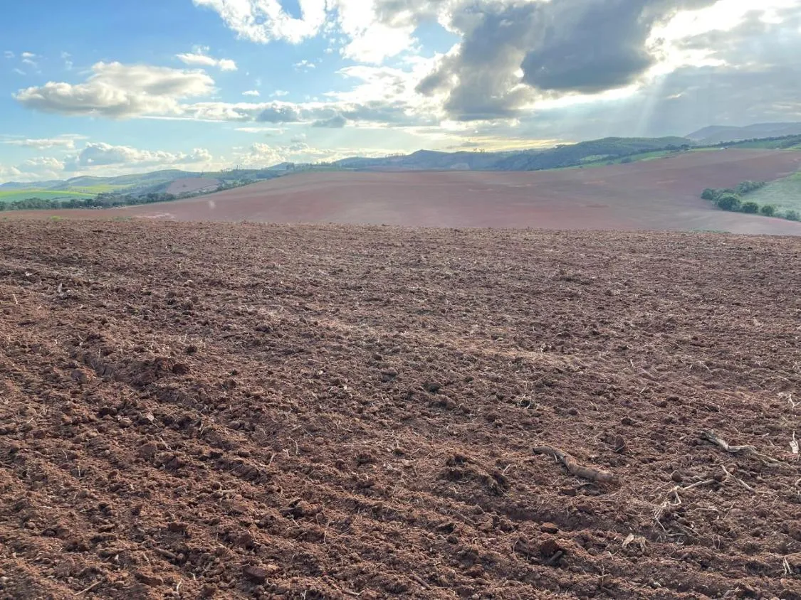 Imagem FAZENDA À VENDA - ENTRE RIOS DE MINAS 500 hectares de terra