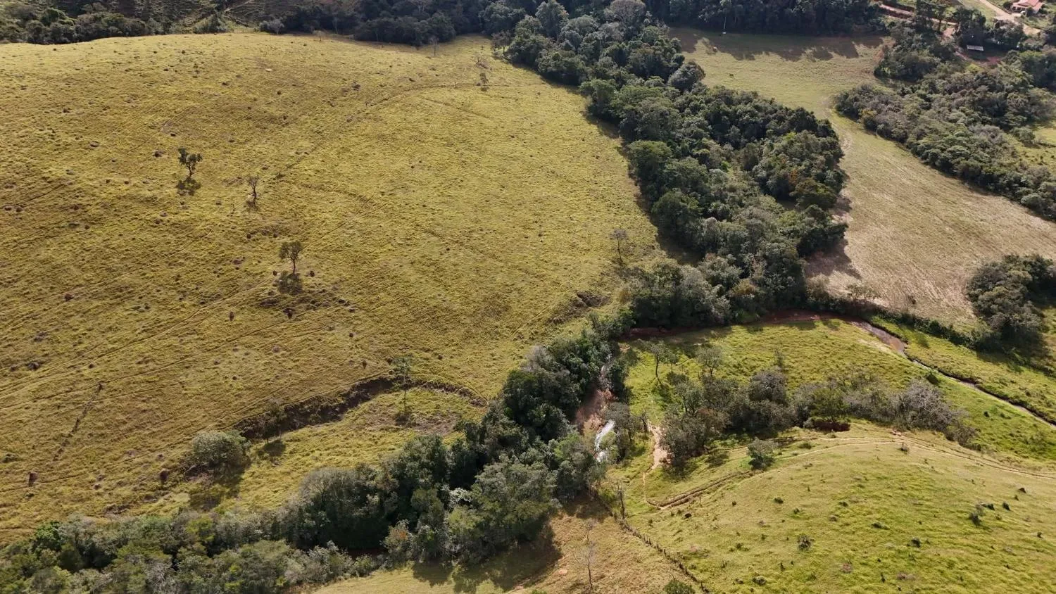 Imagem Fazenda à Venda em Belo Vale/MG ? 42 Hectares | R$ 2.800.000,00