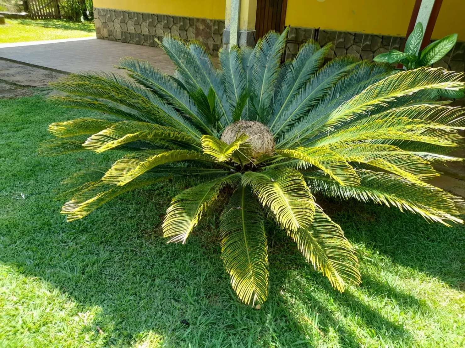 Imagem Chácara à venda 3 Quartos, 3 Suites, 20 Vagas, 8600M², Goiabal, Pindamonhangaba - SP