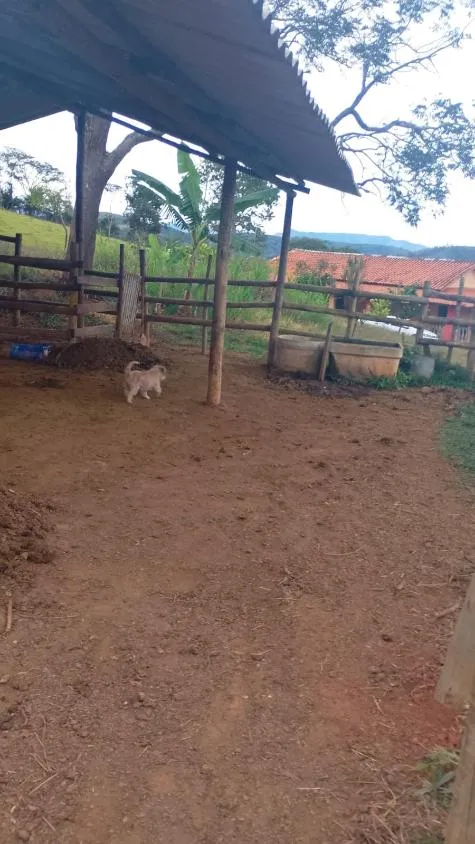 Imagem VENDO FAZENDINHA NA REGIÃO DE Brumadinho / MG Área total de 14 hectares