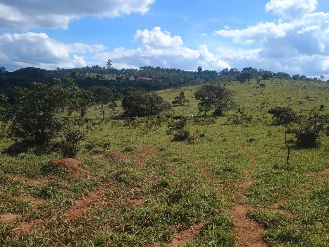 Imagem Excelente terreno rural com área de 10 hectares a venda em PASSA TEMPO/MG