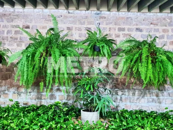Imagem Casa à venda no Bairro São José com 3 quartos, sendo 2 suítes, PETROLINA - PE
