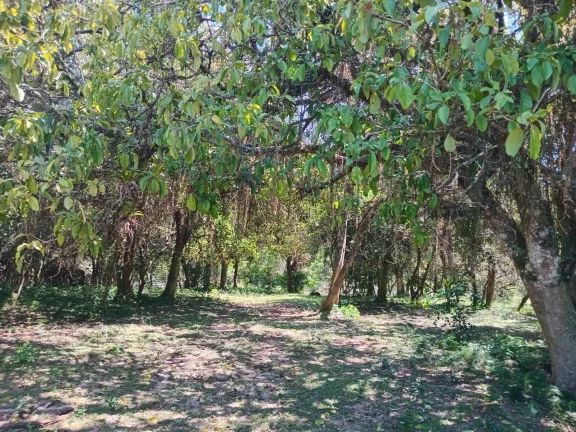 Imagem 2 HECTARES, Casa simples, Galpão, Piscina e Açude, Pimenta, Viamão/RS.