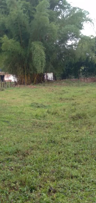 Imagem Vendo um belíssimo sítio em Crucilândia/MG, com 15.000 m² de terreno