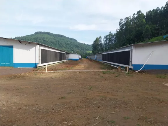 Imagem Granja para Venda em Lindóia do Sul, Interior