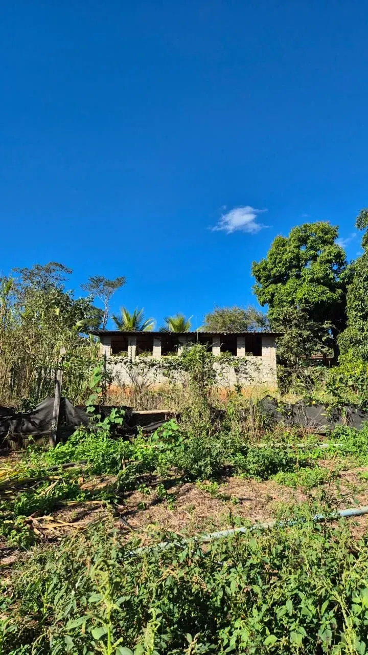 Imagem Sítio à Venda, 4 hectare em Monte Santo de Minas - Monte Santo de Minas