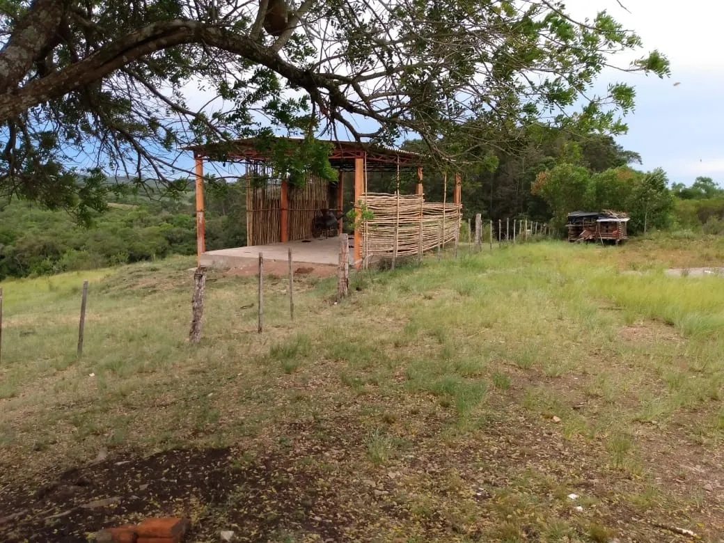 Imagem Sítio para Venda em Piratini, zona rural, 1 dormitório, 1 banheiro