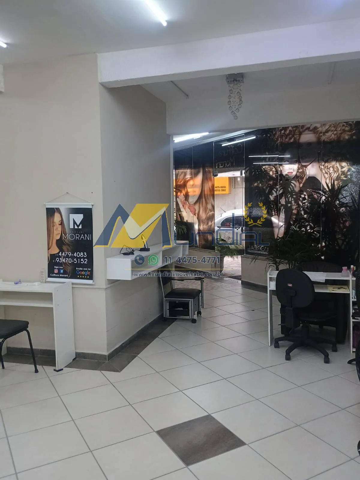 Imagem Salão Comercial 242 m² com 8 Vagas no Bangu, Santo André.