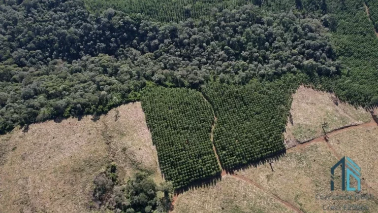 Imagem Terreno localização privilegiada, próxima à cidade e com potencial General Carneiro PR