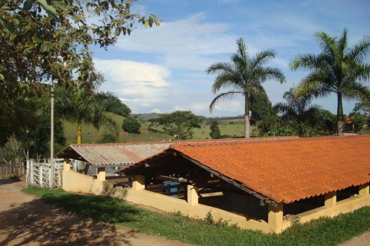 Foto do imóvel Vendo uma excelente fazendinha em Crucilândia/MG Área total de 57 hectares
