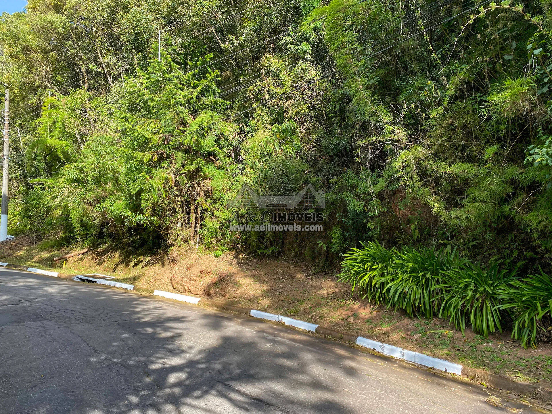 Imagem Terreno à venda em Campos do Jordão - Com vista para linda área verde