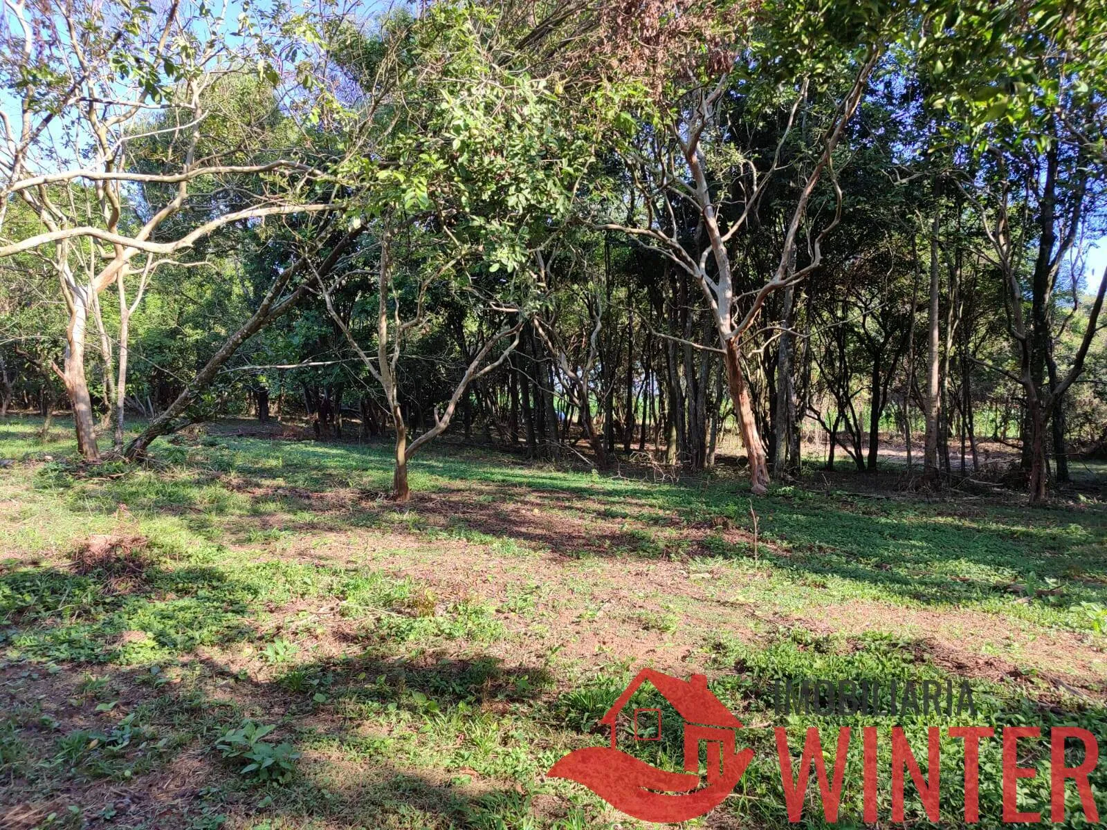 Imagem Área de terras plana com 4.800,00m² em Morro São Pedro, Bom Princípio.