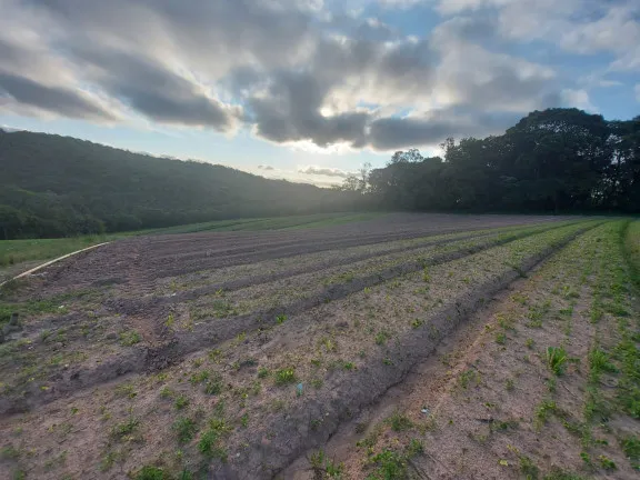Imagem Terreno à Venda, 500 m² em Jardim Felicidade (Zona Norte) - São Paulo