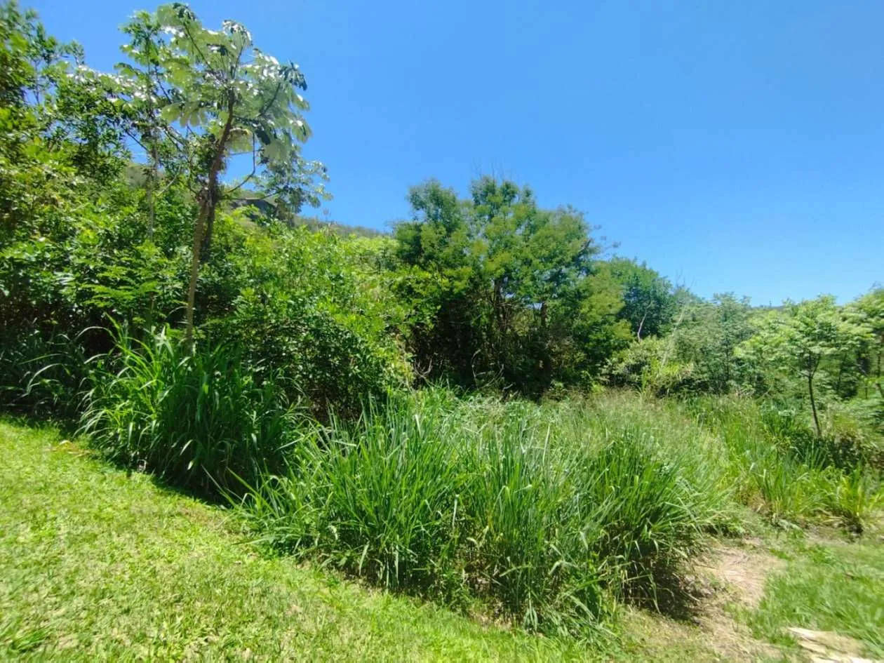 Imagem Terreno em Condomínio para Venda em Areal / RJ no bairro Agriões
