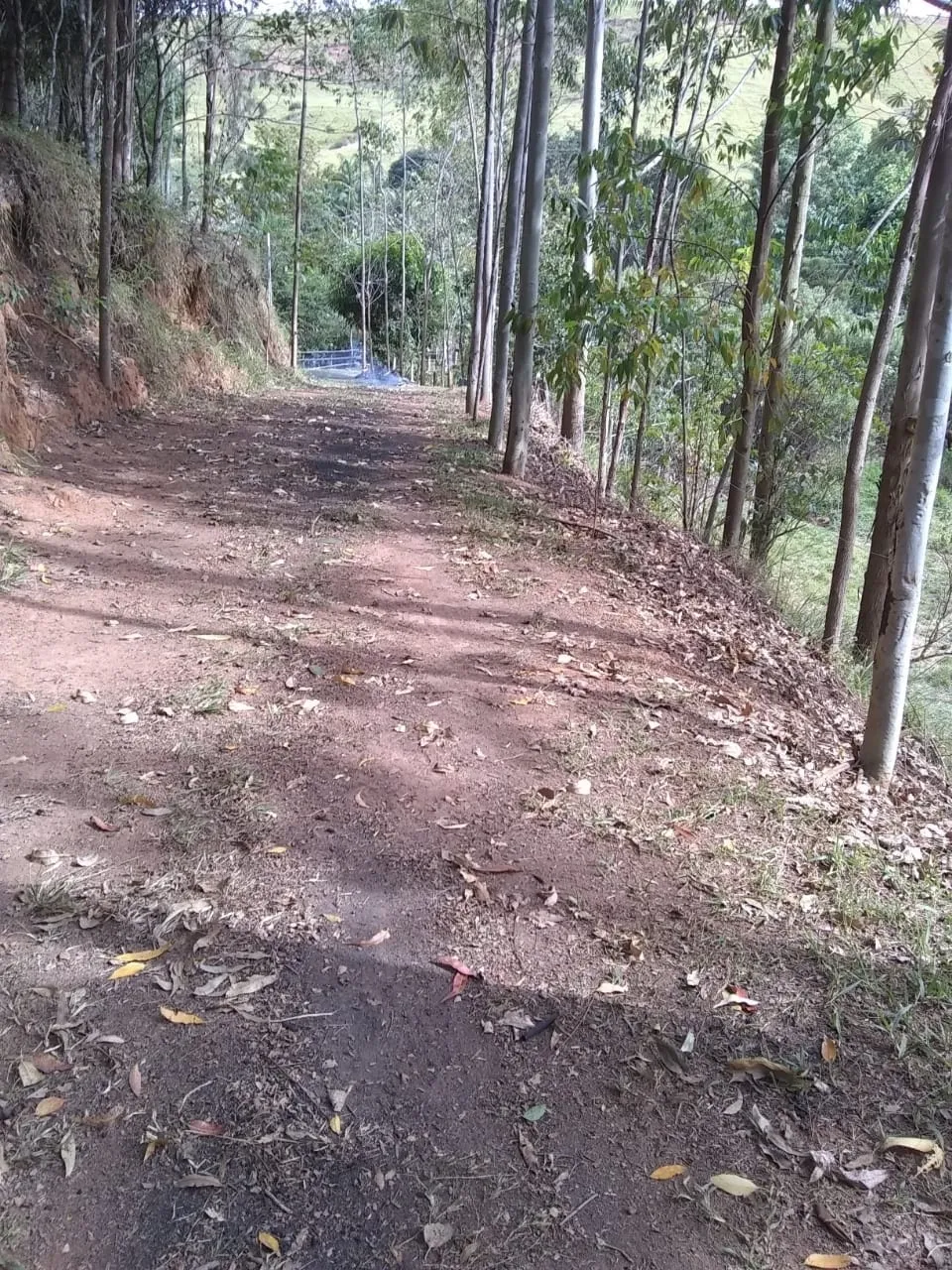 Imagem Chácara à venda 2 Quartos, 135000M², Zona Rural, Piquete - SP