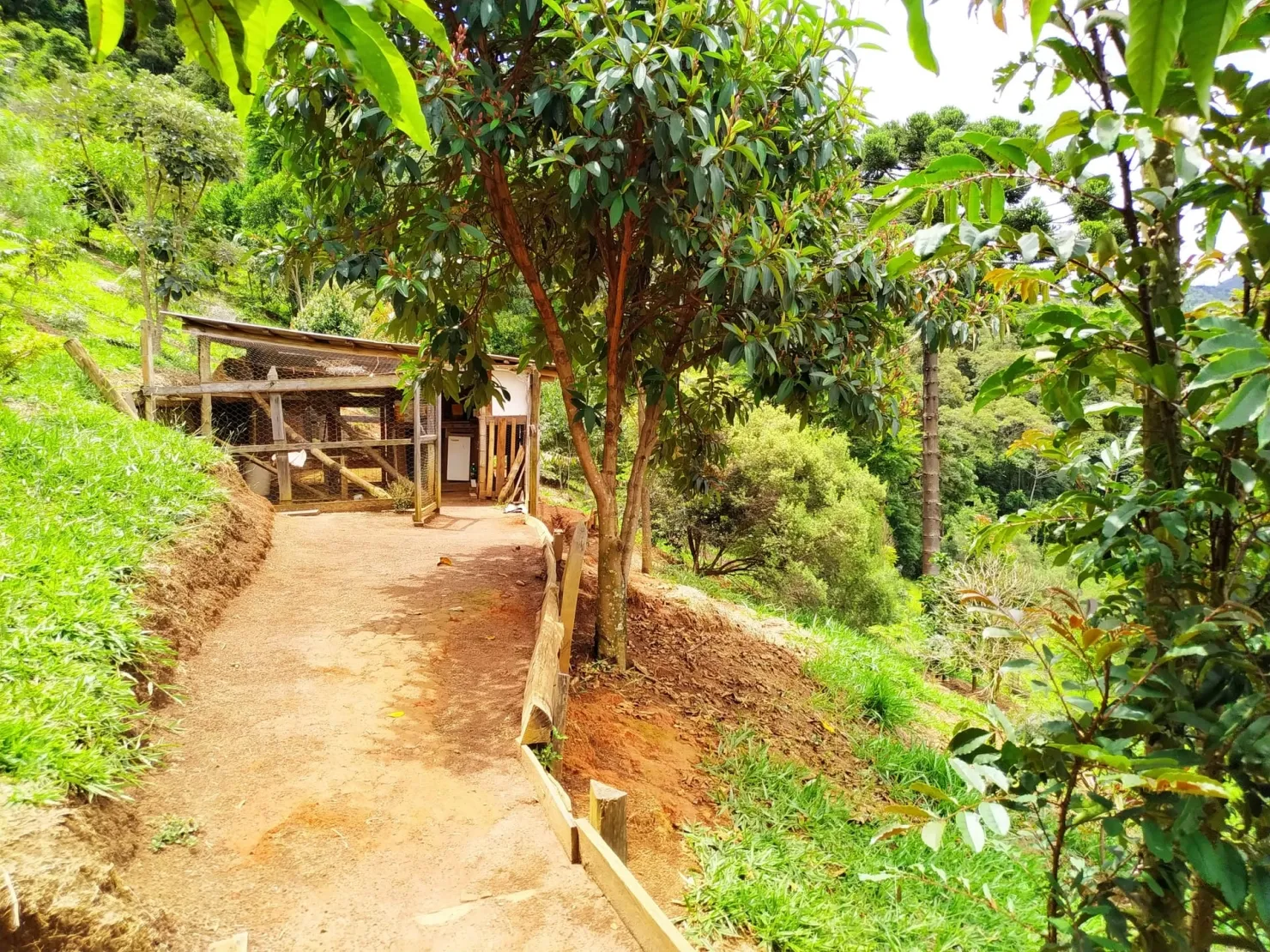 Imagem Chácara à venda 3 Quartos, 1 Suite, 1 Vaga, 121000M², Bairro dos Macacos, Silveiras - SP