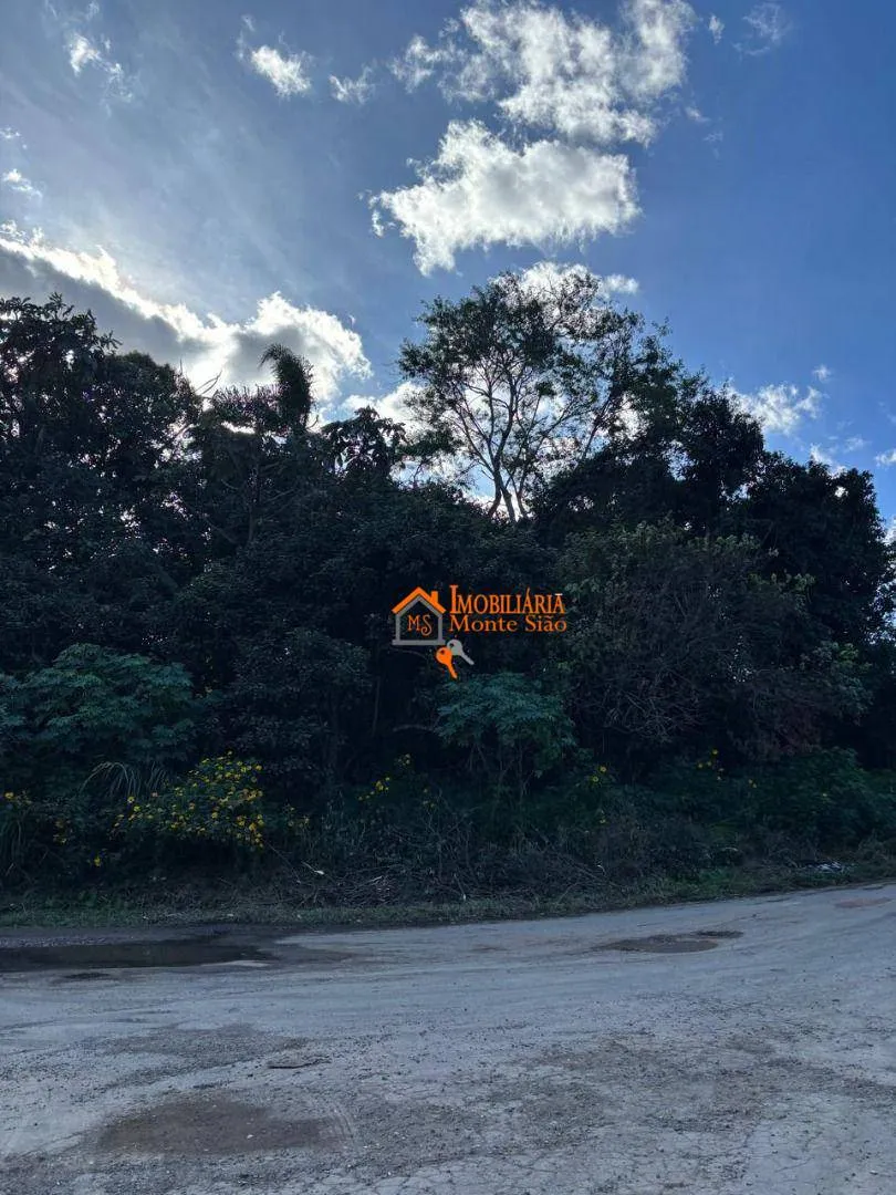 Imagem Área à venda, 2223 m² por R$ 1.500.000,00 - Parque Novo Horizonte - Itaquaquecetuba/SP