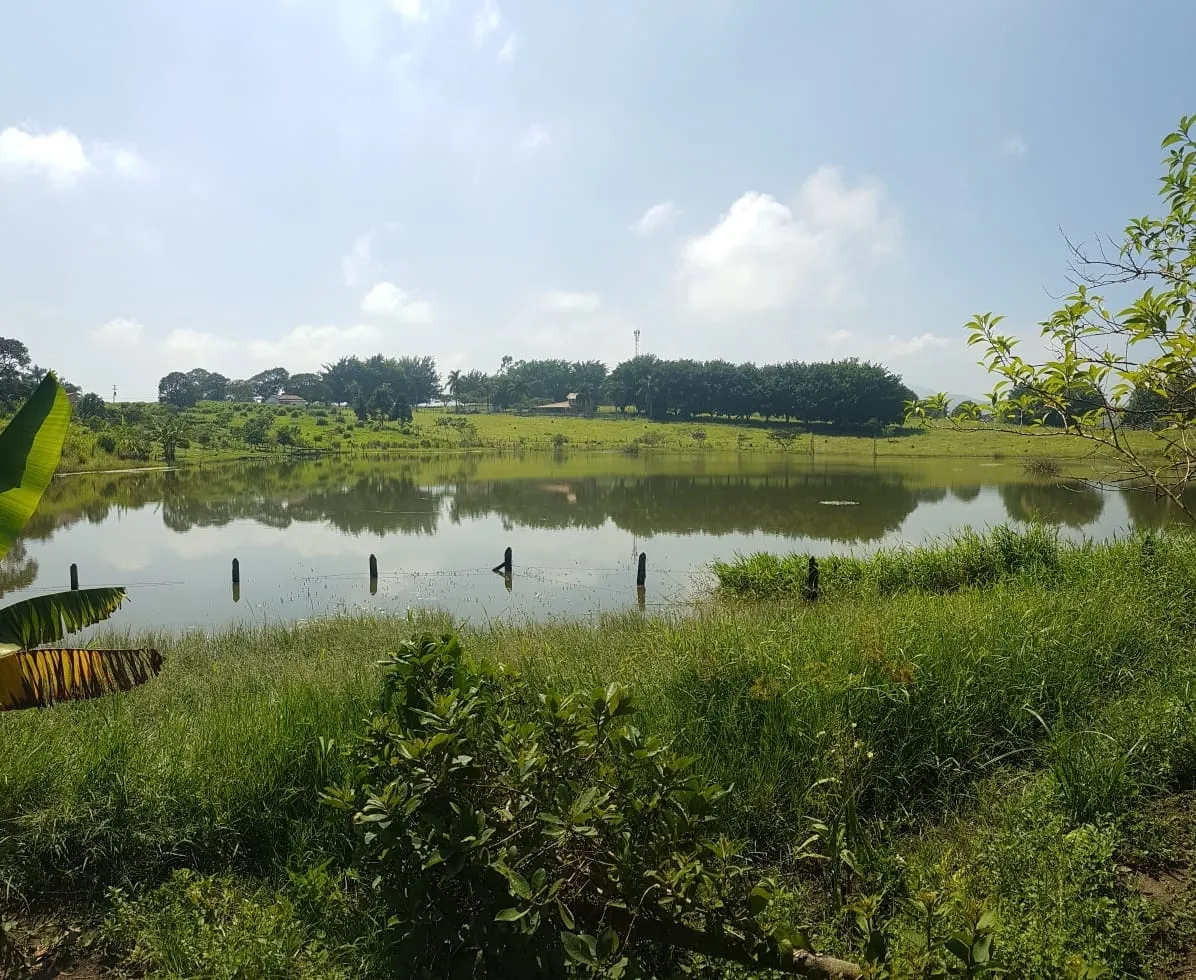 Foto do imóvel Chácara à venda e locação 3 Quartos, 3950M², Goiabal, Pindamonhangaba - SP
