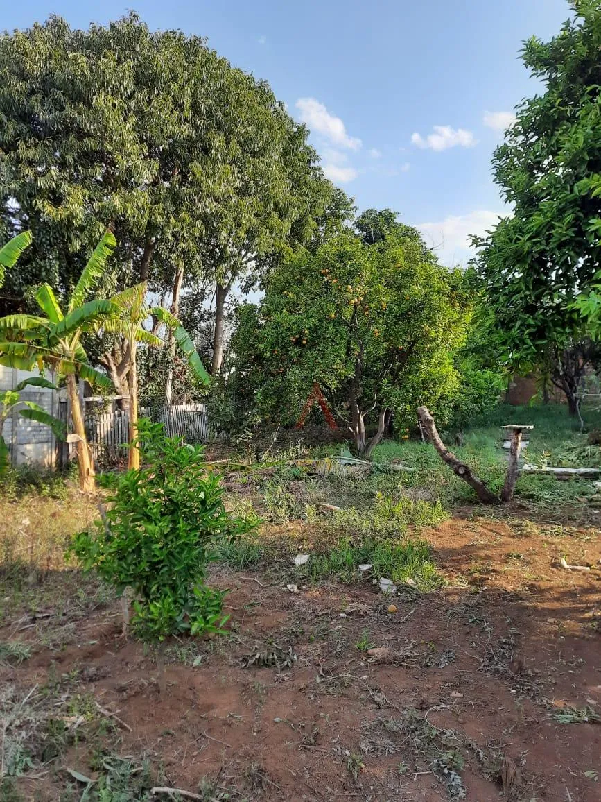 Imagem Excelente terreno à venda com terreno de 1.276,50m no Bairro dos Estados