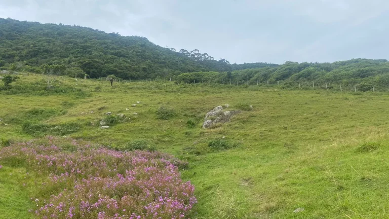 Imagem Terreno à venda na Praia da Silveira, Garopaba-SC: 1.550m² de oportunidade imperdível!