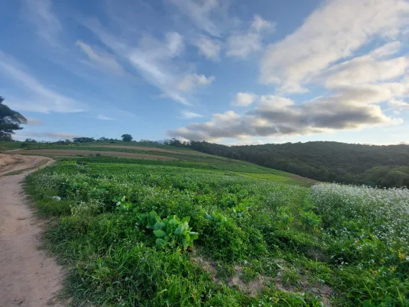 Imagem Terreno à Venda, 1.000 m² em Centro - Cotia