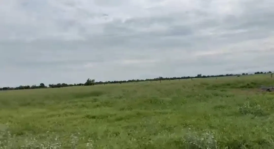 Imagem Vendo excelente fazenda em Jaíba/MG ?área total de 3.150 hectares