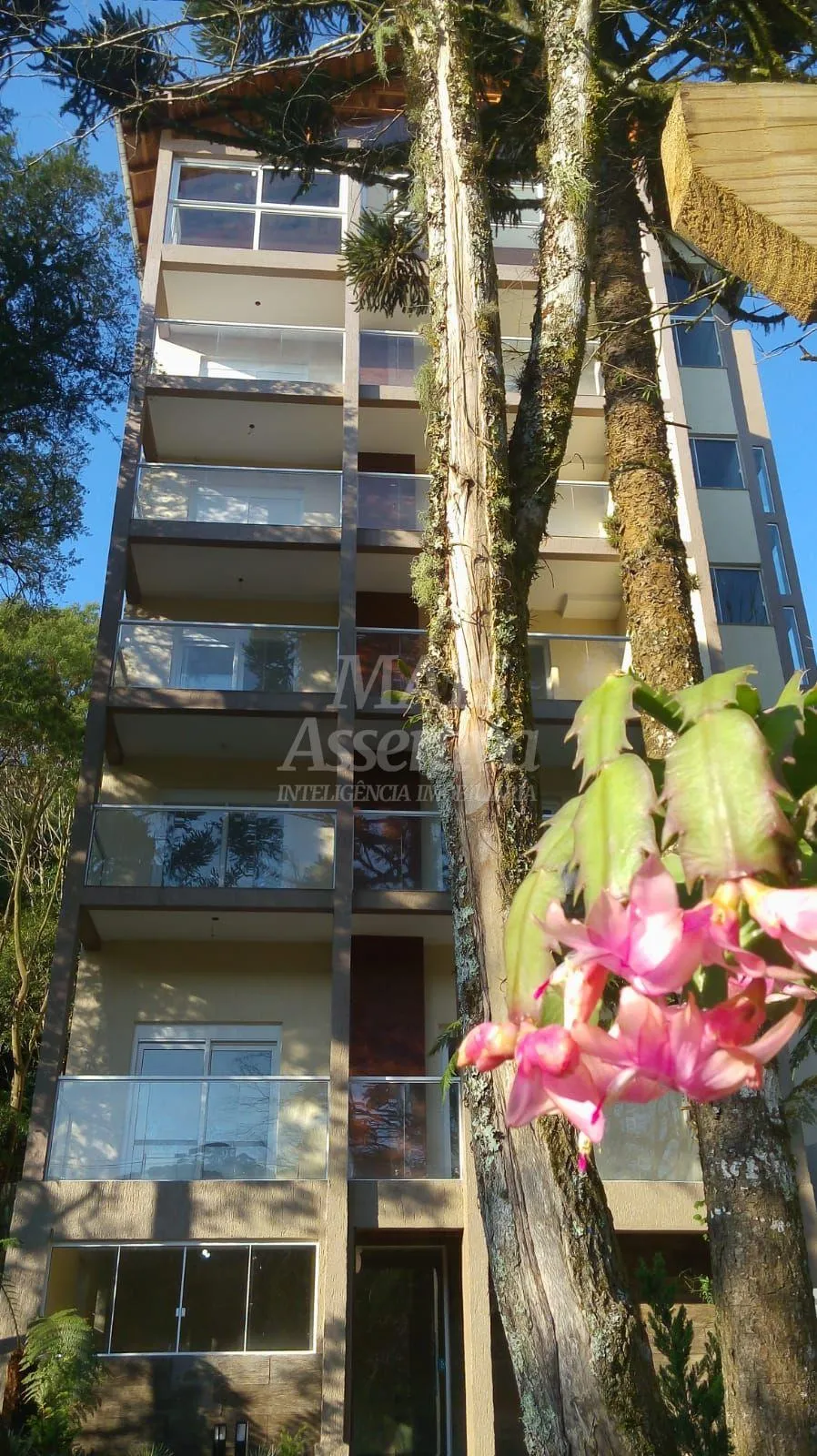 Imagem Apartamento semi-mobiliado a venda em São Bernardo - São Francisco de Paula/RS