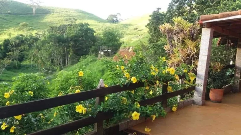 Imagem Imóvel