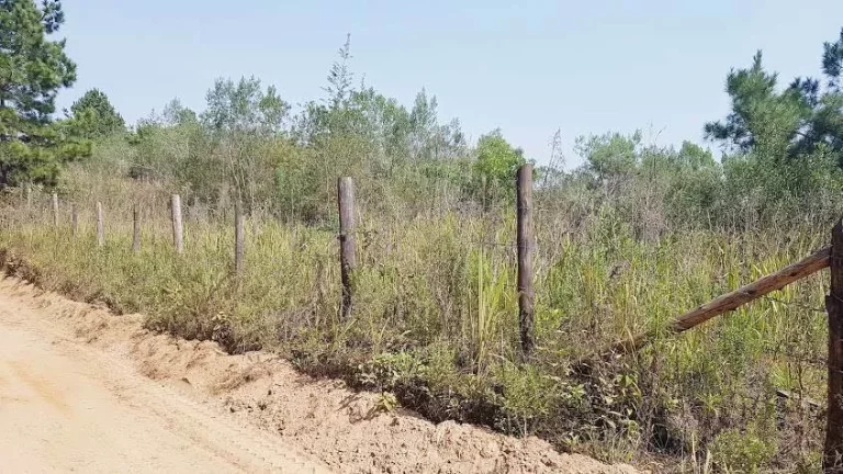 Imagem Área Rural para formar Chácara