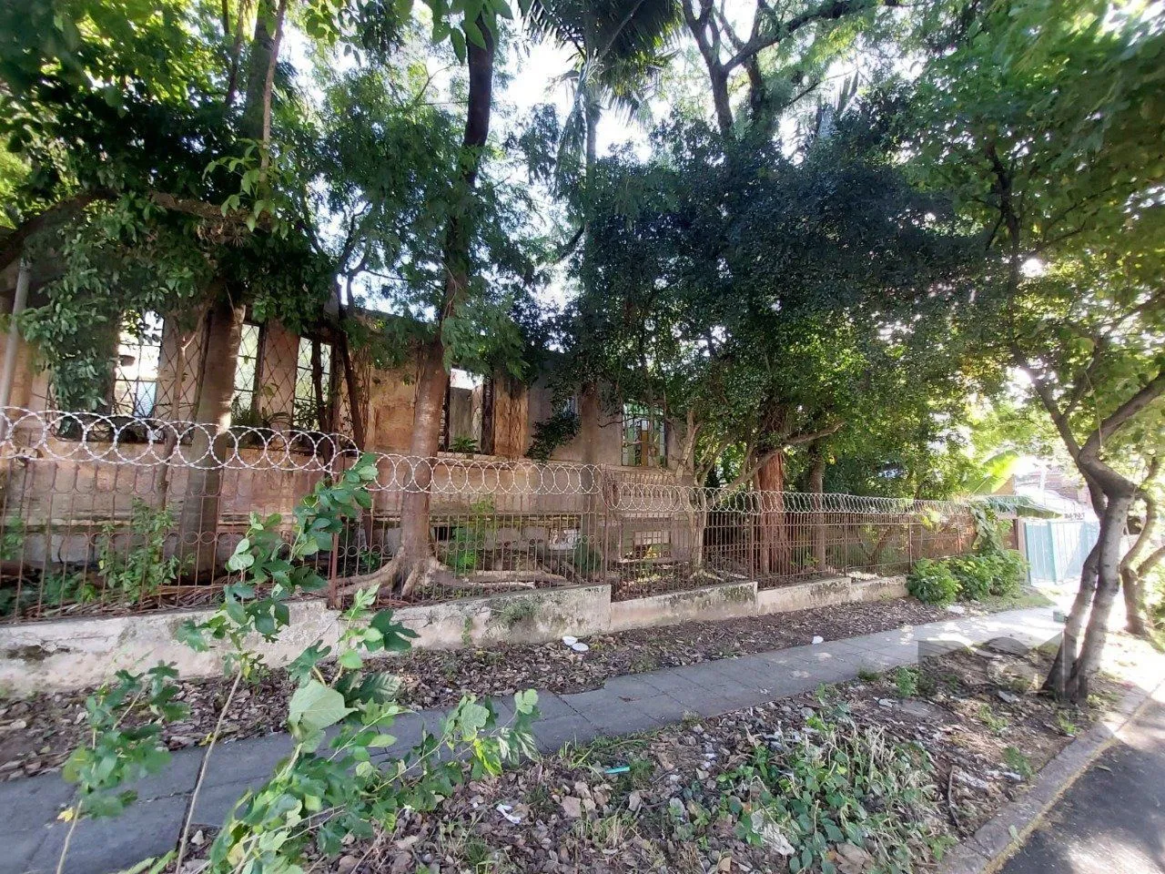 Imagem Terreno em Medianeira