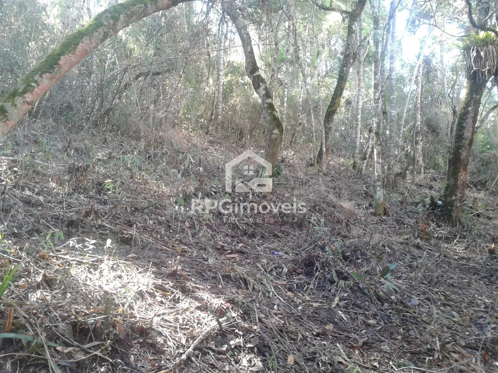 Imagem Terreno cidade do sol