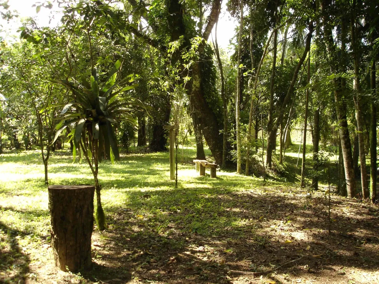 Imagem Sítio à venda 3 Quartos, 49000M², Ribeirão Grande, Pindamonhangaba - SP