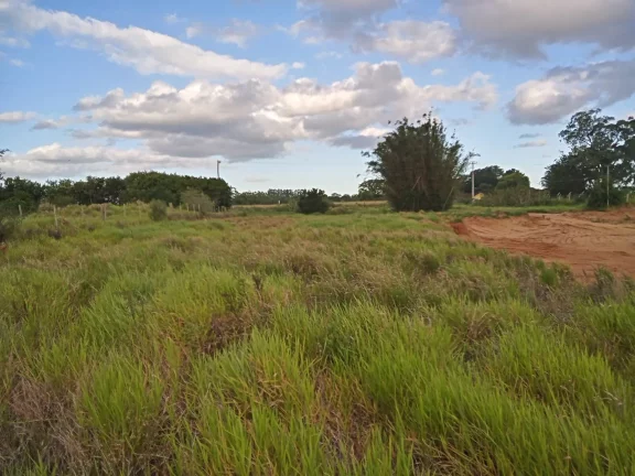 Imagem INVESTIDORES !!! - Excelente área de 2 Hectares, em Águas Claras, Viamão