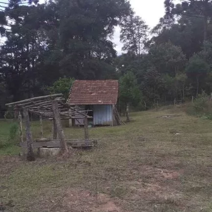 Imagem CHACARA RURAL em ANTÔNIO OLINTO - PR, Antonio Olinto
