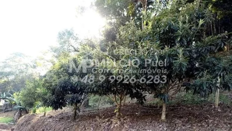 Imagem Lindo SÍTIO A VENDA EM MAJOR GERCINO/ SC Casa mista madeira e alvenaria. Contrato de compra e venda em cima da escritura total da terra.