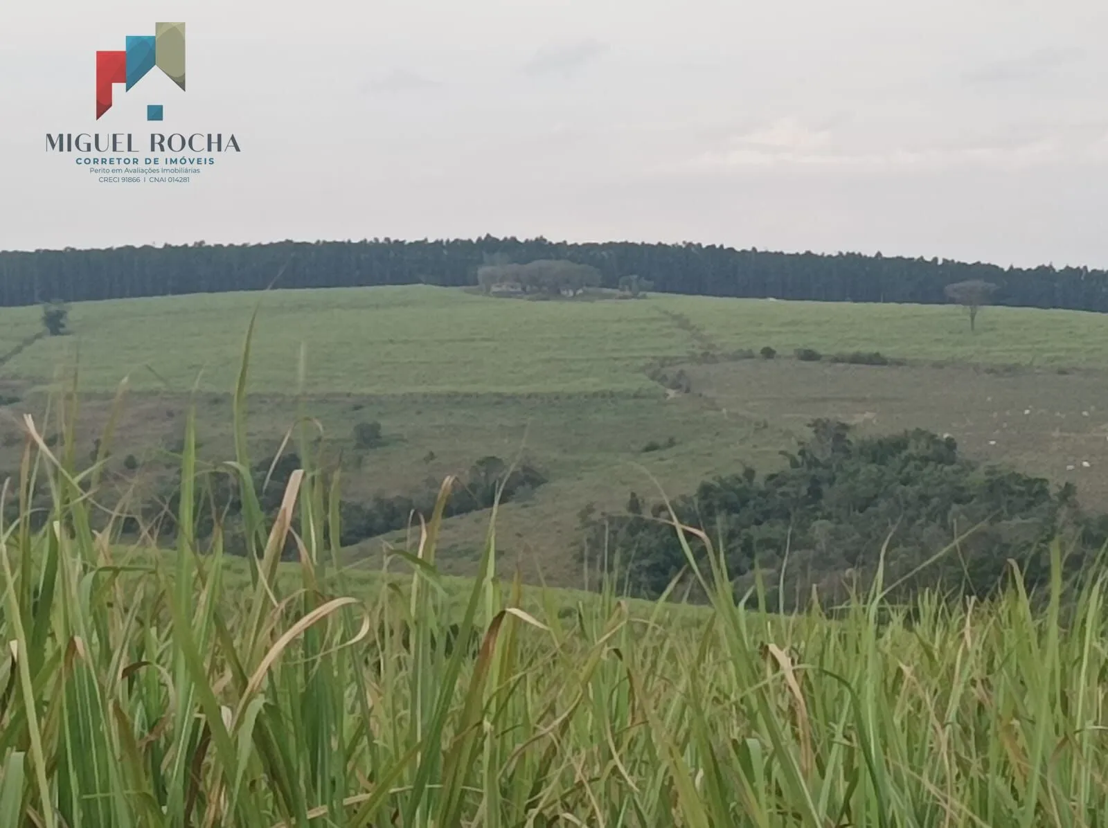 Imagem Fazenda Região de Piracicaba SP
