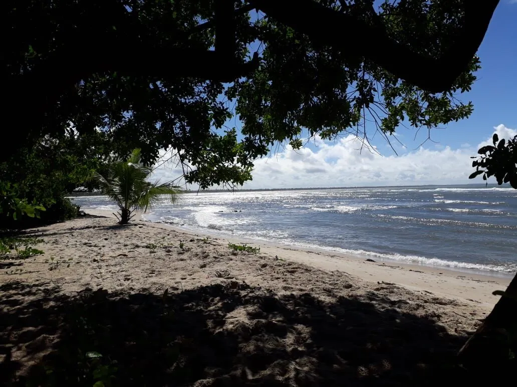 Imagem Oportunidade única: Área de Terra em Velha Boipeba, Cairu - confira!