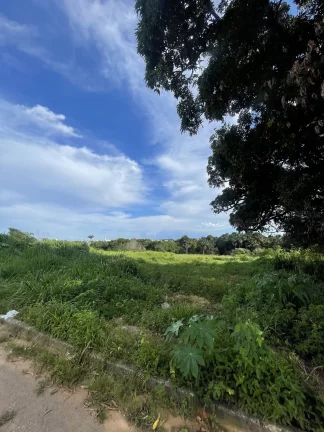 Imagem Terreno à venda no bairro Setor Negrinho Carrilho - Goianésia/GO