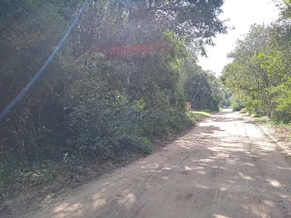 Imagem Lindos terrenos (2), belíssima mata nativa, privativo, Águas Claras