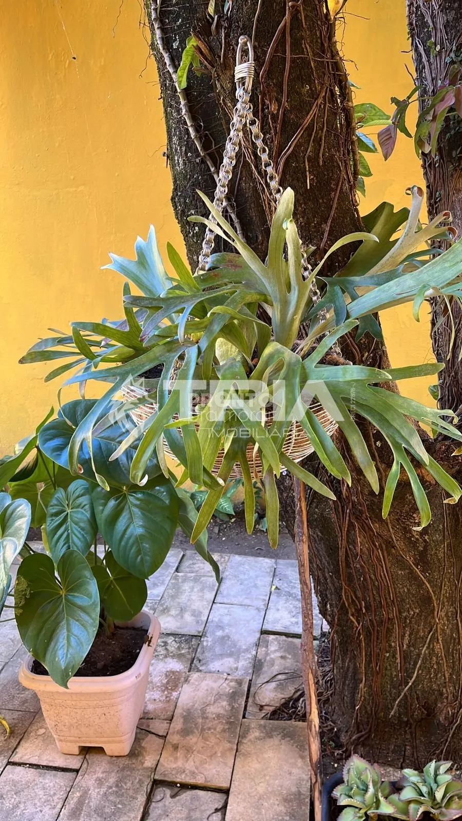 Imagem Casa de 4 quartos, 210m² no bairro Maria Farinha, em Paulista