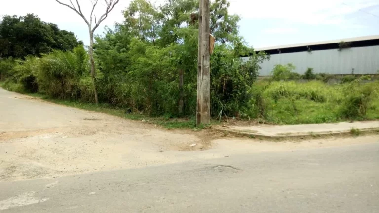 Imagem TERRENO EM ABRANTES