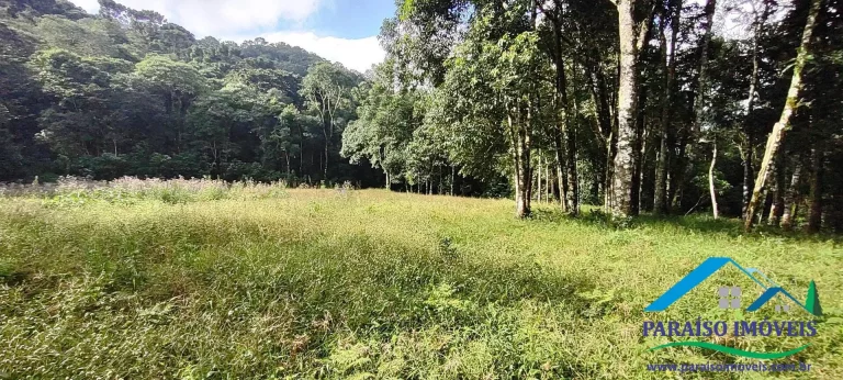Imagem Terreno Exuberante no Bairro Campestre, Gonçalves – Serra da Mantiqueira