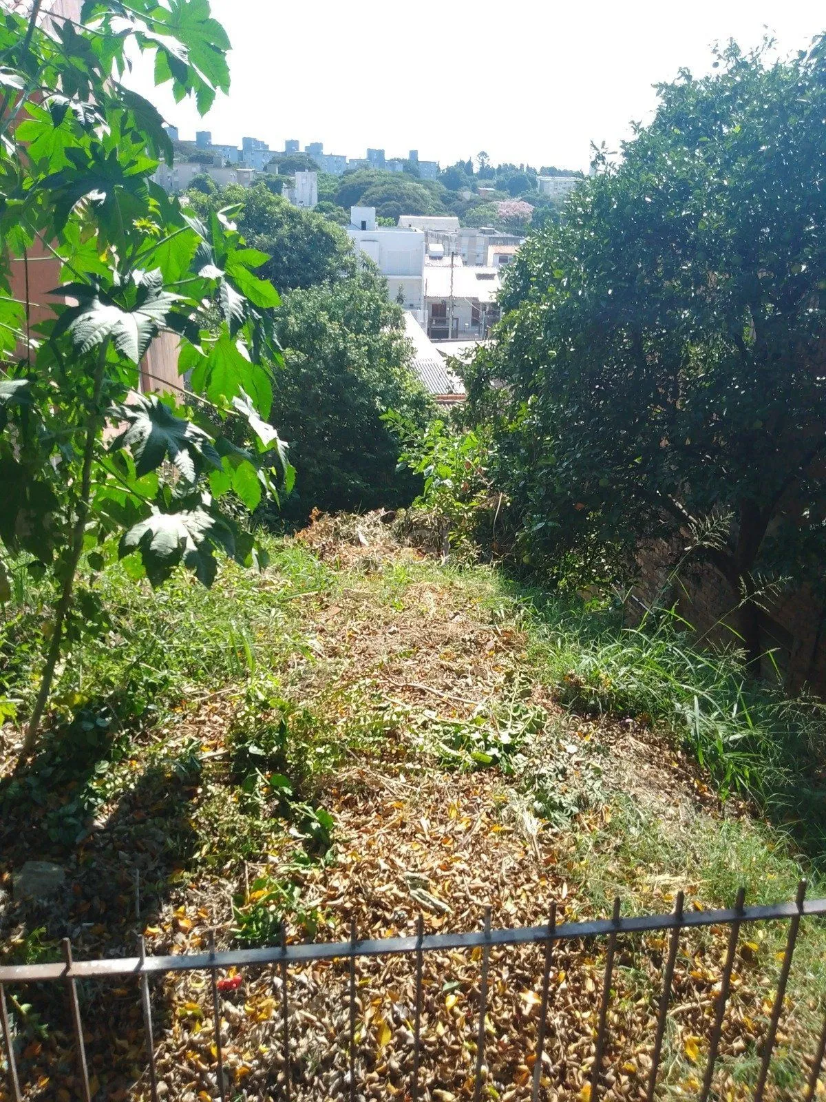Imagem Terreno em Santo Antônio
